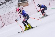 FIS Baltijas kauss 2023 5. posms, FIS SL sacensības un FIS paralēlais slaloms, Foto: E.Lukšo