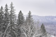 FIS Baltijas kauss 2023 5. posms, FIS SL sacensības, Foto: E.Lukšo