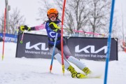 FIS Baltijas kauss 2023 5. posms, FIS SL sacensības, Foto: E.Lukšo