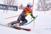 FIS Baltijas kauss 2023 5. posms, FIS SL sacensības, Foto: E.Lukšo