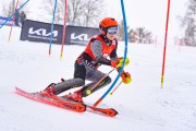 FIS Baltijas kauss 2023 5. posms, FIS SL sacensības, Foto: E.Lukšo