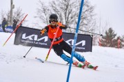 FIS Baltijas kauss 2023 5. posms, FIS SL sacensības, Foto: E.Lukšo