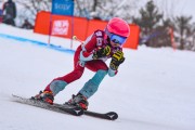 FIS Baltijas kauss 2023 5. posms, jauniešu un meistaru SG treninš, Foto: E.Lukšo