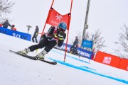 FIS Baltijas kauss 2023 5. posms, jauniešu un meistaru SG treninš, Foto: E.Lukšo