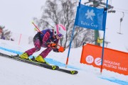 FIS Baltijas kauss 2023 5. posms, jauniešu un meistaru SG treninš, Foto: E.Lukšo