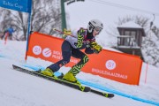 FIS Baltijas kauss 2023 5. posms, jauniešu un meistaru SG treninš, Foto: E.Lukšo