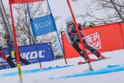 FIS Baltijas kauss 2023 5. posms, jauniešu un meistaru SG treninš, Foto: E.Lukšo