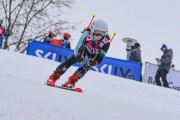 FIS Baltijas kauss 2023 5. posms, jauniešu un meistaru SG treninš, Foto: E.Lukšo