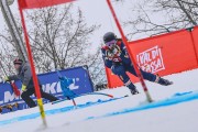 FIS Baltijas kauss 2023 5. posms, jauniešu un meistaru SG treninš, Foto: E.Lukšo