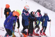 FIS Baltijas kauss 2023 5. posms, jauniešu un meistaru SG un GS, Foto: E.Lukšo