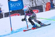 FIS Baltijas kauss 2023 5. posms, jauniešu un meistaru SG un GS, Foto: E.Lukšo