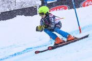 FIS Baltijas kauss 2023 5. posms, jauniešu un meistaru SG un GS, Foto: E.Lukšo