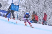 FIS Baltijas kauss 2023 5. posms, jauniešu un meistaru SG un GS, Foto: E.Lukšo