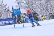 FIS Baltijas kauss 2023 5. posms, jauniešu un meistaru SG un GS, Foto: E.Lukšo