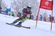 FIS Baltijas kauss 2023 5. posms, jauniešu un meistaru SG un GS, Foto: E.Lukšo