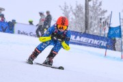 FIS Baltijas kauss 2023 5. posms, jauniešu un meistaru SG un GS, Foto: E.Lukšo