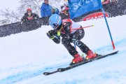 FIS Baltijas kauss 2023 5. posms, jauniešu un meistaru SG un GS, Foto: E.Lukšo