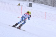 FIS Baltijas kauss 2023 5. posms, jauniešu un meistaru SG un GS, Foto: E.Lukšo