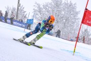 FIS Baltijas kauss 2023 5. posms, jauniešu un meistaru SG un GS, Foto: E.Lukšo