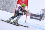 FIS Baltijas kauss 2023 5. posms, jauniešu un meistaru SG un GS, Foto: E.Lukšo