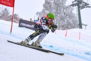 FIS Baltijas kauss 2023 5. posms, jauniešu un meistaru SG un GS, Foto: E.Lukšo