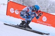 FIS Baltijas kauss 2023 5. posms, jauniešu un meistaru SG un GS, Foto: E.Lukšo