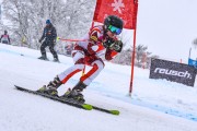 FIS Baltijas kauss 2023 5. posms, jauniešu un meistaru SG un GS, Foto: E.Lukšo