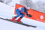 FIS Baltijas kauss 2023 5. posms, jauniešu un meistaru SG un GS, Foto: E.Lukšo