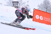 FIS Baltijas kauss 2023 5. posms, jauniešu un meistaru SG un GS, Foto: E.Lukšo