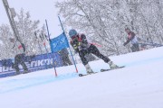 FIS Baltijas kauss 2023 5. posms, jauniešu un meistaru SG un GS, Foto: E.Lukšo