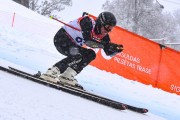 FIS Baltijas kauss 2023 5. posms, jauniešu un meistaru SG un GS, Foto: E.Lukšo