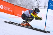 FIS Baltijas kauss 2023 5. posms, jauniešu un meistaru SG un GS, Foto: E.Lukšo