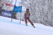 FIS Baltijas kauss 2023 5. posms, jauniešu un meistaru SG un GS, Foto: E.Lukšo