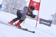 FIS Baltijas kauss 2023 5. posms, jauniešu un meistaru SG un GS, Foto: E.Lukšo