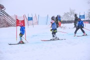 FIS Baltijas kauss 2023 5. posms, jauniešu un meistaru SG un GS, Foto: E.Lukšo