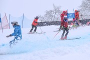 FIS Baltijas kauss 2023 5. posms, jauniešu un meistaru SG un GS, Foto: E.Lukšo