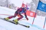 FIS Baltijas kauss 2023 5. posms, jauniešu un meistaru SG un GS, Foto: E.Lukšo