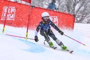 FIS Baltijas kauss 2023 5. posms, jauniešu un meistaru SG un GS, Foto: E.Lukšo