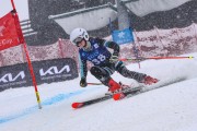 FIS Baltijas kauss 2023 5. posms, jauniešu un meistaru SG un GS, Foto: E.Lukšo