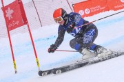 FIS Baltijas kauss 2023 5. posms, jauniešu un meistaru SG un GS, Foto: E.Lukšo