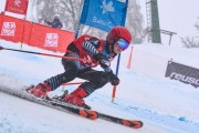 FIS Baltijas kauss 2023 5. posms, jauniešu un meistaru SG un GS, Foto: E.Lukšo