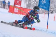 FIS Baltijas kauss 2023 5. posms, jauniešu un meistaru SG un GS, Foto: E.Lukšo