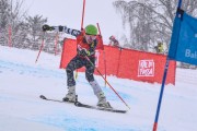 FIS Baltijas kauss 2023 5. posms, jauniešu un meistaru SG un GS, Foto: E.Lukšo