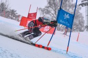 FIS Baltijas kauss 2023 5. posms, jauniešu un meistaru SG un GS, Foto: E.Lukšo