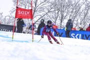 FIS Baltijas kauss 2023 5. posms, jauniešu un meistaru SG un GS, Foto: E.Lukšo