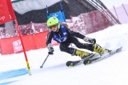 FIS Baltijas kauss 2023 5. posms, jauniešu un meistaru SG un GS, Foto: E.Lukšo