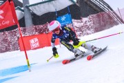 FIS Baltijas kauss 2023 5. posms, jauniešu un meistaru SG un GS, Foto: E.Lukšo