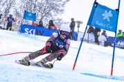 FIS Baltijas kauss 2023 5. posms, jauniešu un meistaru SG un GS, Foto: E.Lukšo