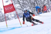 FIS Baltijas kauss 2023 5. posms, jauniešu un meistaru SG un GS, Foto: E.Lukšo