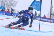 FIS Baltijas kauss 2023 5. posms, jauniešu un meistaru SG un GS, Foto: E.Lukšo